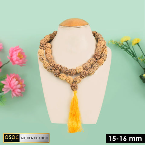 15-16mm 3 Mukhi Kantha Rudraksha Mala – Authentic Spiritual Beads for Health, Focus, and Positive Energy. India’s Largest Pooja Accessories Brand - www.satvikworld.com