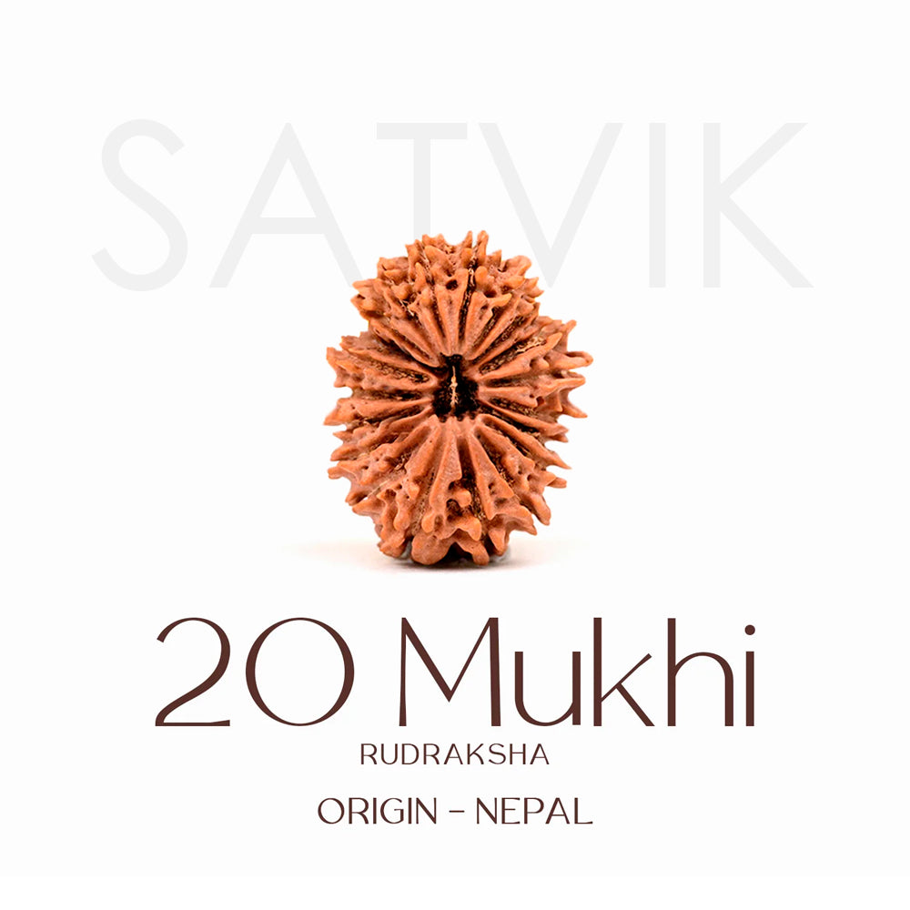Certified 20 Mukhi Rudraksha Bead – Nepali origin sacred bead representing Lord Brahma, promotes wisdom, creativity, and higher spiritual growth. India’s Largest Brass Idols Brand - www.satvikworld.com
