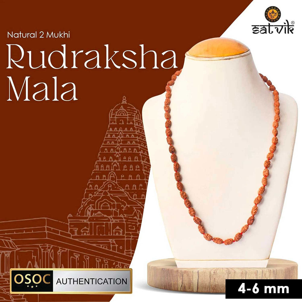 2 Mukhi Semi Pathriya Rudraksha Mala for harmony, relationships and spiritual growth. India’s Premium Rudraksha Jap Mala Store- www.satvikworld.com