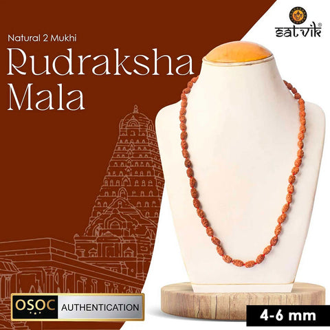 2 Mukhi Semi Pathriya Rudraksha Mala for harmony, relationships and spiritual growth. India’s Premium Rudraksha Jap Mala Store- www.satvikworld.com