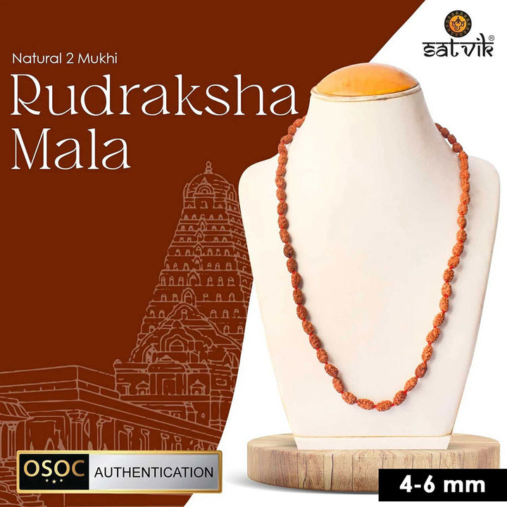 2 Mukhi Semi Pathriya Rudraksha Mala for harmony, relationships and spiritual growth. India’s Premium Rudraksha Jap Mala Store- www.satvikworld.com