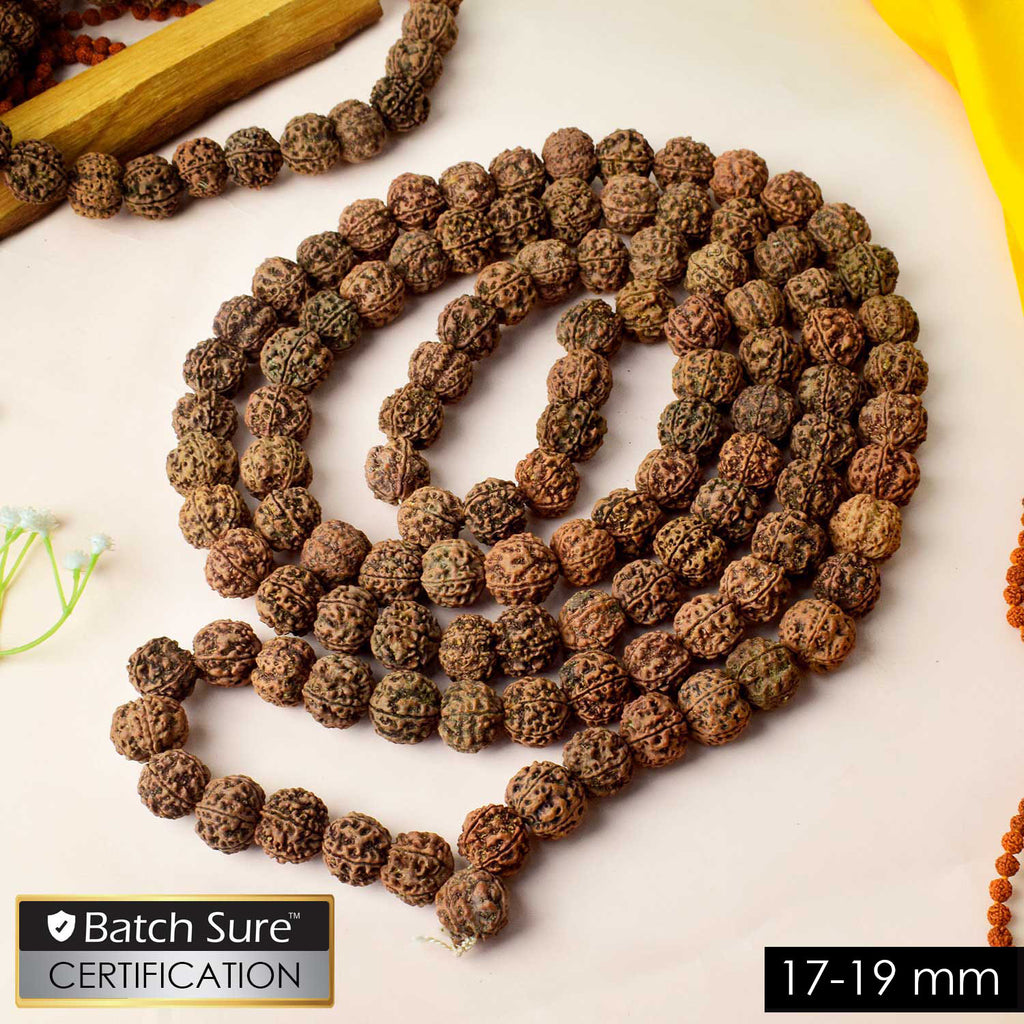 5 Mukhi Special Kantha Rudraksha mala featuring premium five-faced Rudraksha beads, designed for spiritual balance, meditation, and holistic healing. India’s Premium Jap Mala Store - www.satvikworld.com