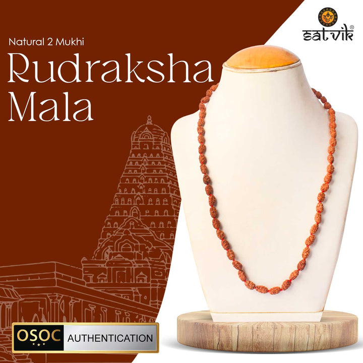 Original 2 Mukhi Rudraksha Mala – 108 Beads for Relationship Harmony, Love & Emotional Balance. India’s Largest Pooja Accessories Brand - www.satvikworld.com