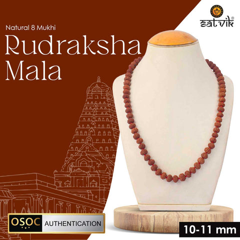 10-11mm 8 mukhi rudraksha mala