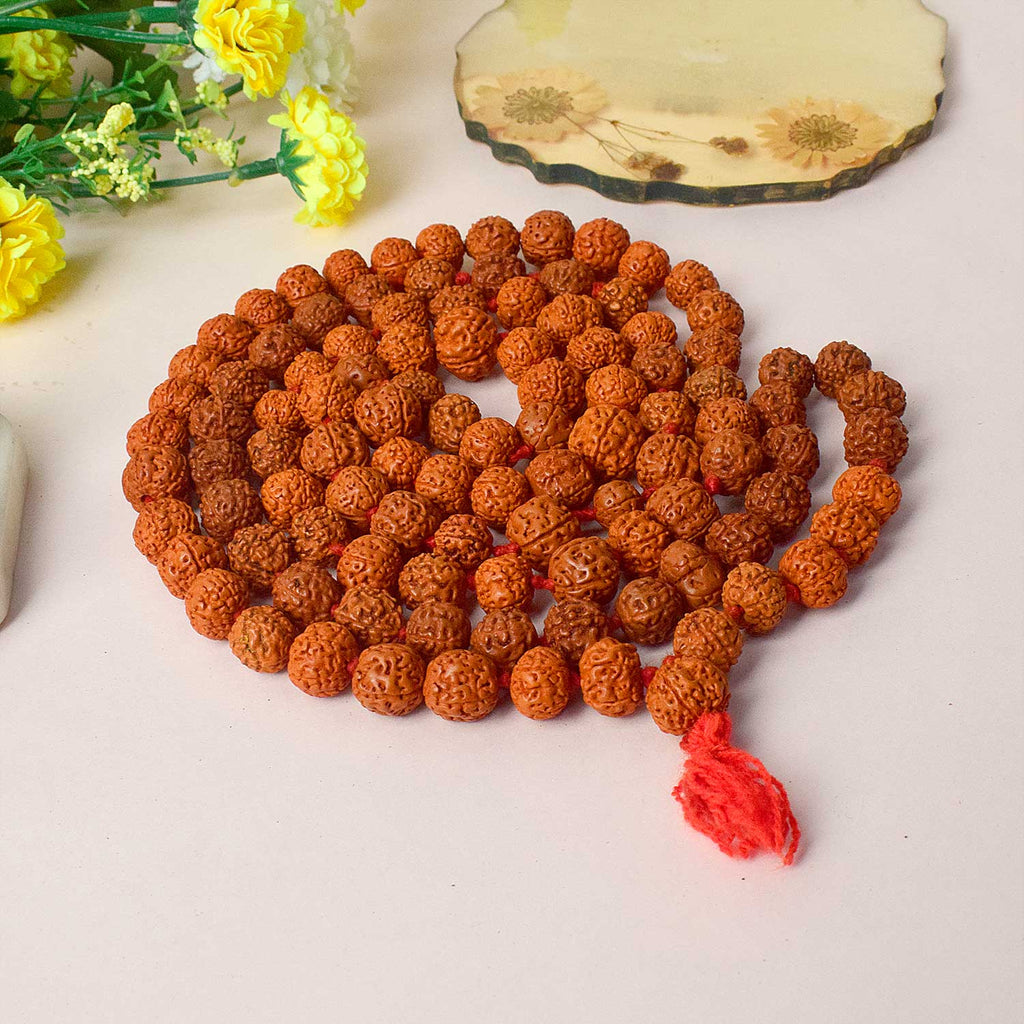 Certified 108 bead Rudraksha mala in dark brown color, used for japa and meditation. India’s Premium Rudraksha Jap Mala Store- www.satvikworld.com