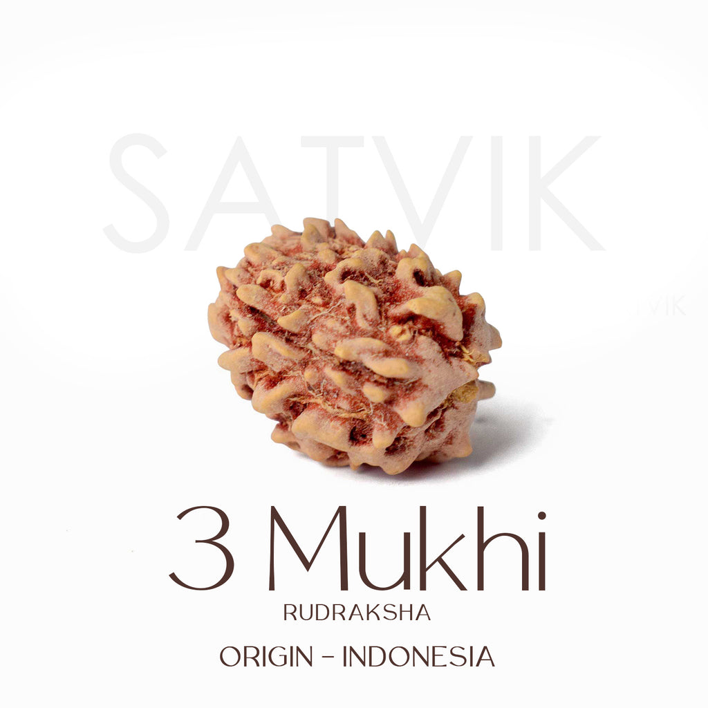 Certified 3 Mukhi Kantha Rudraksha Mala with light brown beads for spiritual healing, meditation, and emotional strength. India’s Largest Pooja Accessories Brand - www.satvikworld.com