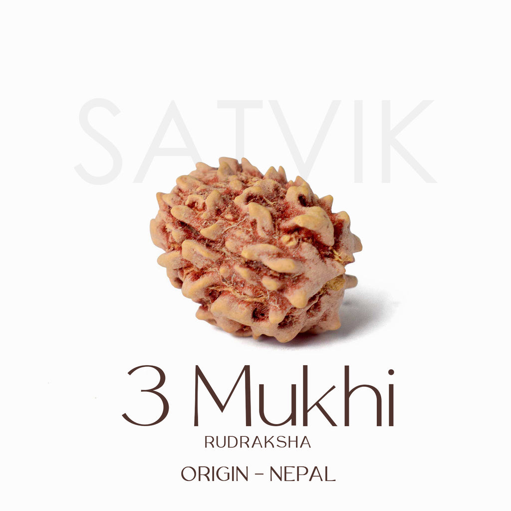 Certified 3 Mukhi Kantha Rudraksha Mala with light brown beads for spiritual healing, meditation, and emotional strength. India’s Largest Pooja Accessories Brand - www.satvikworld.com
