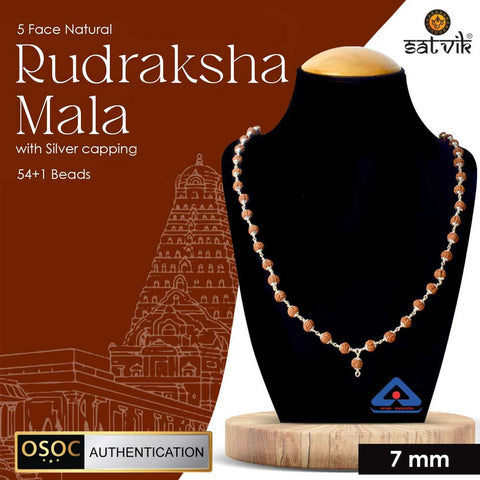 Certified 5 Mukhi Rudraksha Mala with silver Capping