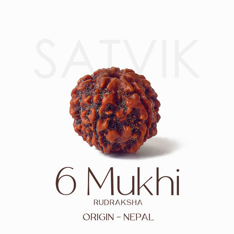 Certified 6 Mukhi brown Rudraksha bead placed on red fabric, symbolizing courage, focus, and inner discipline for spiritual and professional growth. India’s Largest Pooja Accessories Brand - www.satvikworld.com