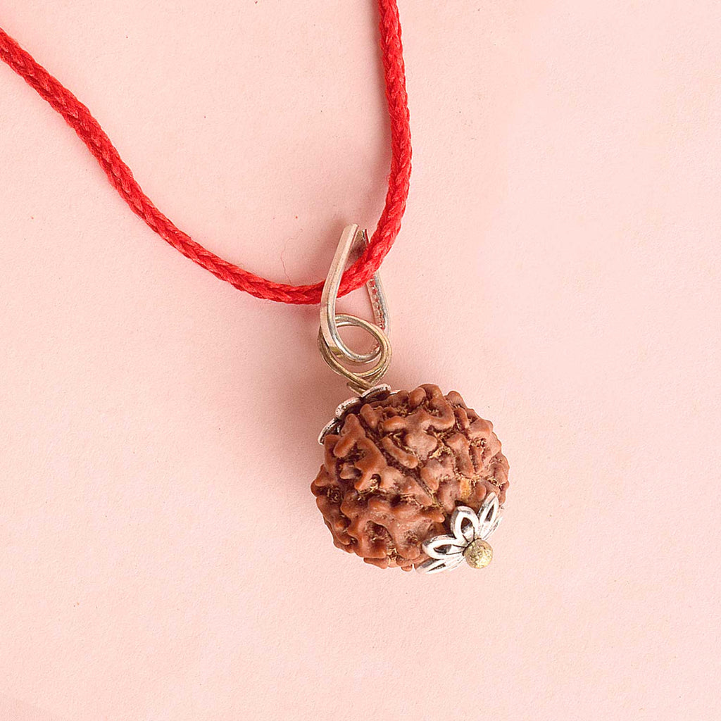 Certified 6 Mukhi Rudraksha Pendant with metal cap for wisdom, energy, and success. India’s Premium Rudraksha Jap Mala Store- www.satvikworld.com