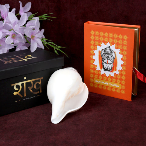 Natural 100% Original Vamavarti Shankha 5.5 Inch Blowing Conch for Pooja. India’s Largest Pooja Accessories Brand - www.satvikworld.com