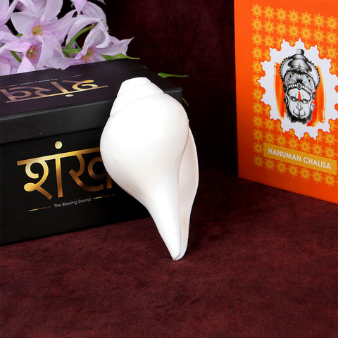 Natural 100% Original Vamavarti Shankha 5.5 Inch Blowing Conch for Pooja. India’s Largest Pooja Accessories Brand - www.satvikworld.com