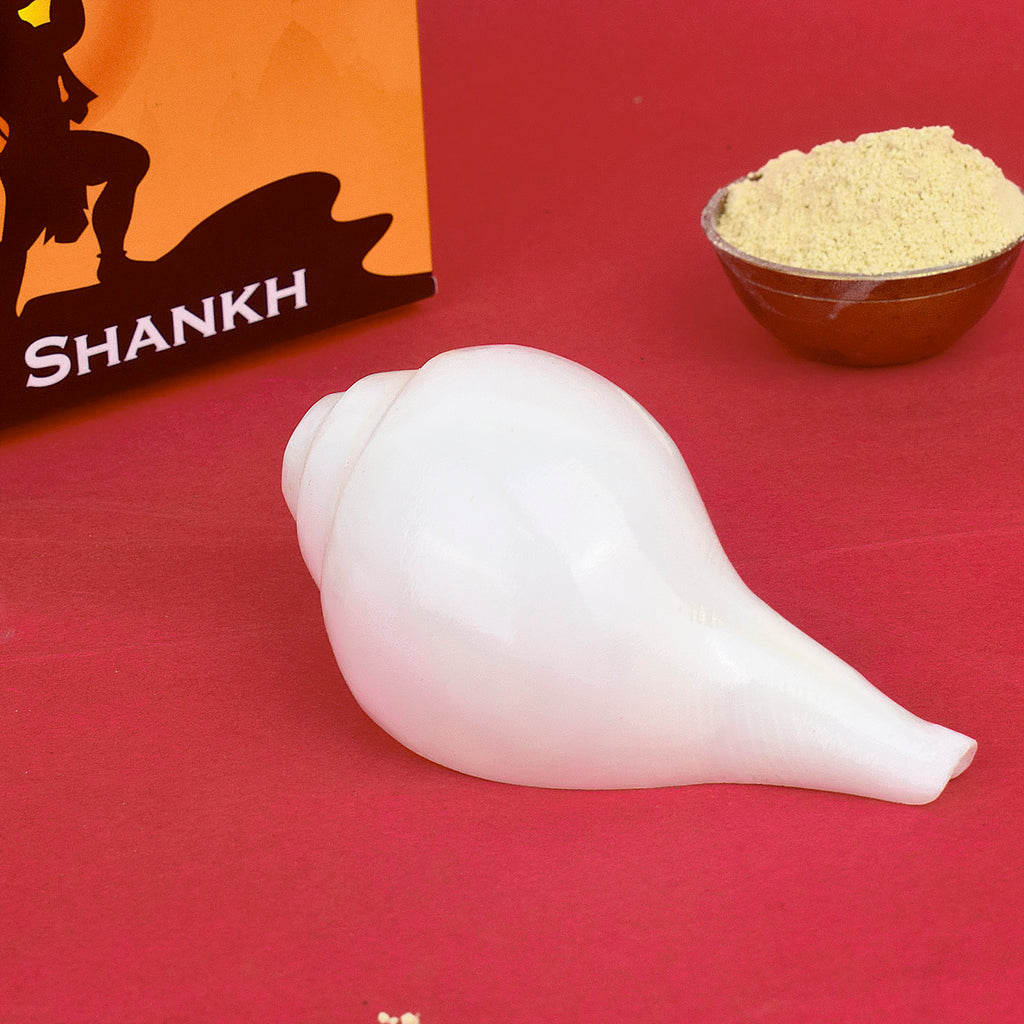 Natural Vamavarti Shankh (Conch Shell) measuring 4.5 inches in white color, ideal for spiritual rituals and daily pooja use. India’s Largest Pooja Accessories Brand – www.satvikworld.com