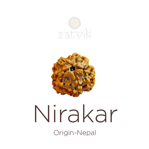 Nirakar Rudraksha bead natural Nepali regular formless Rudraksha. India’s Premium Rudraksha Beads Brand - www.satvikworld.com