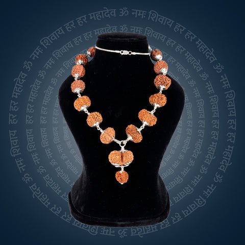 Siddha Mala with 1 Mukhi Sawar (Silver Chain, Nepal Collector)