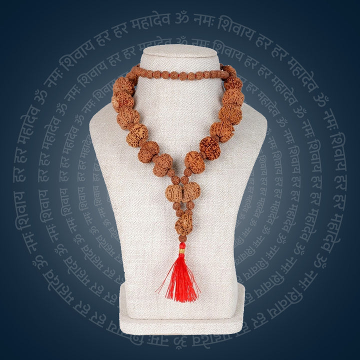 Siddha Mala with 5+1 Sawar Rudraksha Nepal collector grade mala. India’s Premium Rudraksha Jap Mala Brand - www.satvikworld.com